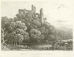 Berry Pomeroy Schloss, Devonshire (Stich) von English School