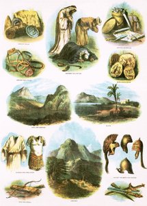 Biblische Illustrationen von English School