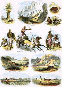 Biblische Illustrationen von English School