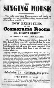 Plakat für die Ausstellung The Singing Mouse in den Cosmorama Rooms, 209 Regent Street, um 1836