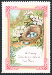 Vogelnest, Weihnachtskarte von English School