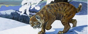 Luchs von English School