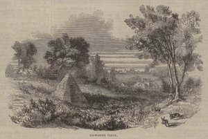 Schlachtfeld von Bosworth von English School