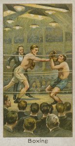 Boxen von English School