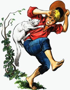 Junge von Katze angegriffen