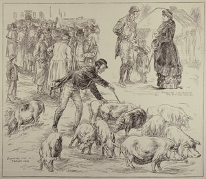 Boykott in Irland, aus The Illustrated London News, 4. Oktober 1886