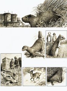 Großbritanniens verlorene Ureinwohner