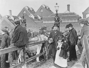 Britischer Dorfrindermarkt, viktorianisch, 19. Jahrhundert