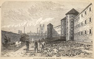 Friedhof im Millbank Prison, Illustration aus The Criminal Prisons of London and Scenes from Prison Life von Henry Mayhew und John Binny, veröffentlicht 1862 von English School