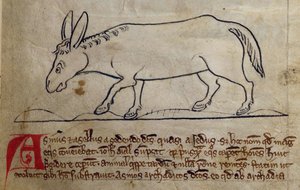 CCA-LitMs/D/10 fol. 10r Esel, aus Bestiarium