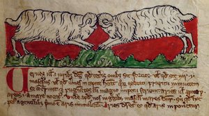 CCA-LitMs/D/10 fol. 8r Hammel, aus Bestiarium