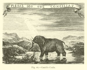 Camillo Caula von English School