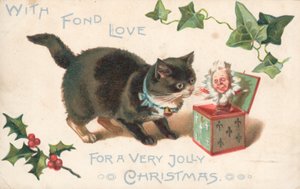 Katze mit Schachtelteufel
