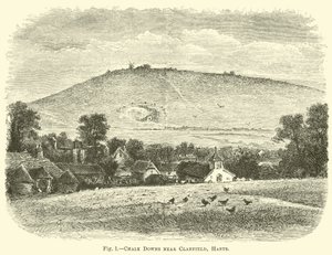 Kreidehügel bei Clanfield, Hants