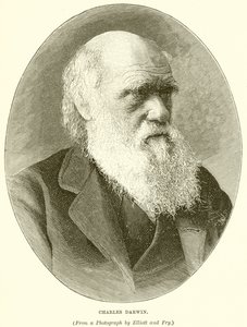 Charles Darwin von English School