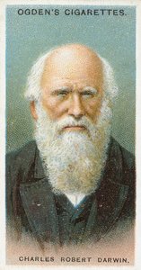 Charles Robert Darwin von English School