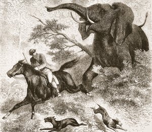 Von einem Elefanten gejagt, Illustration aus der Bildausgabe des Lebens und der Entdeckungen von David Livingstone von J. Ewing Richie, veröffentlicht von A. Fullarton & Co., 1876