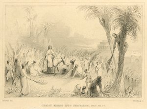 Christus reitet nach Jerusalem, Matthäus XXI