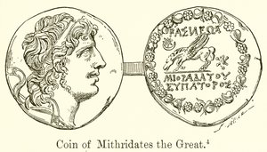 Münze von Mithridates dem Großen von English School