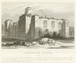 Colchester Schloss, Essex (Stich) von English School