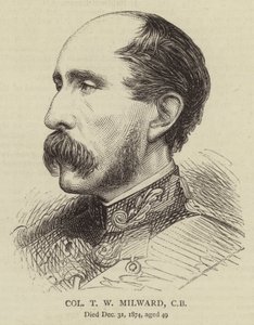Oberst T W Milward, CB von English School
