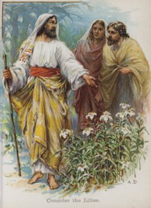 Betrachtet die Lilien (Chromolithografie) von English School