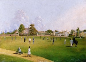 Cricket auf Mitcham Green