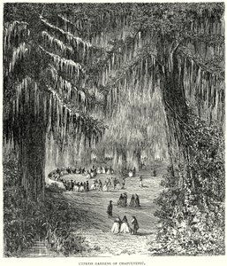Zypressengärten von Chapultepec (Gravur) von English School