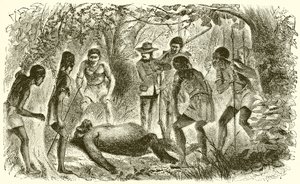 Tod von Du Chaillus erstem Gorilla von English School
