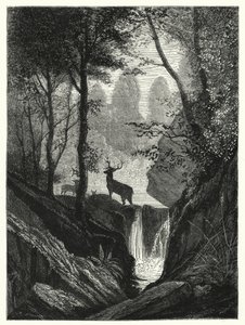 Hirsche im Wald (Stich) von English School