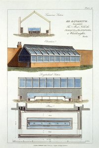 Entwurf für ein Aquarium, ausgeführt für den Marquis von Blandford in Whiteknights, 1806 von English School