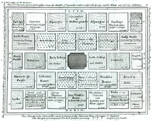 Entwurf für einen fertigen Küchengarten, aus Neue Prinzipien der Gartenkunst, von Betty Langley, 1726