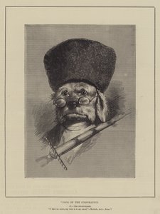 Hunde der Corporation von English School