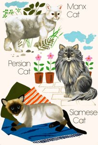 Hauskatzen von English School