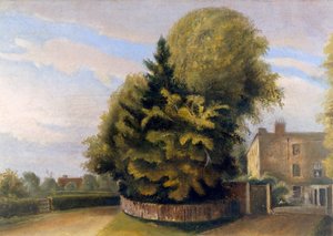 Down House von Norden