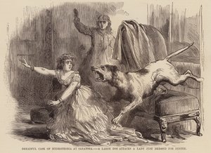Schrecklicher Fall von Hydrophobie in Saratoga, ein großer Hund greift eine Dame an, die gerade zum Abendessen angezogen ist von English School