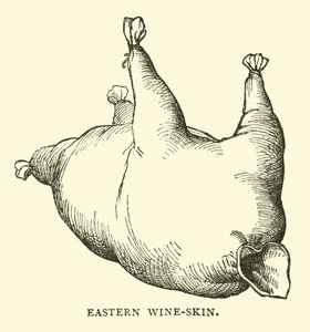 Östlicher Weinschlauch von English School