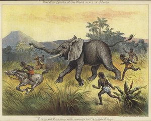 Elefantenjagd mit Schwertern durch Hamran-Araber von English School