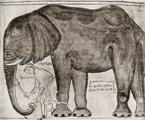 Elefant, gesandt von St. Louis an Heinrich III., aus 