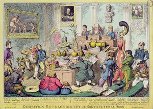 Außergewöhnliche Ausstellung im Gartenbauzimmer, geätzt von George Cruikshank (1792-1878), veröffentlicht von G. Humphrey, 1826 (farbige Radierung)