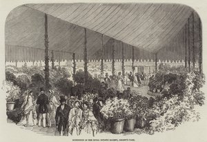 Ausstellung der Royal Botanic Society, Regent