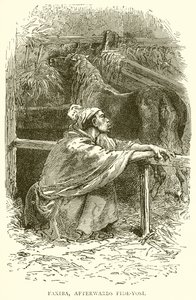 Faxiba, später Fide-Yosi von English School