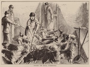 Fütterung der königlichen Jagdhunde (Gravur) von English School
