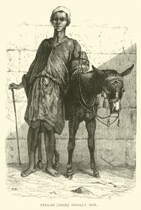 Fellachin, Araber; Eseljunge von English School