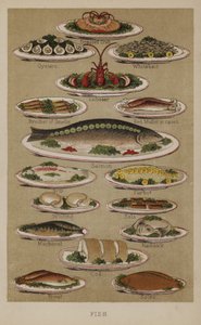 Fisch von English School