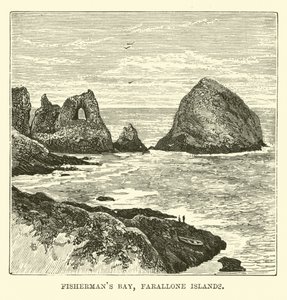 Fischerbucht, Farallone-Inseln von English School