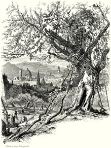 Florenz, von Bellosguardo (Gravur)