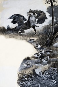 Fuchs unter Angriff von English School