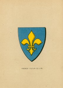 Französische Lilie von English School