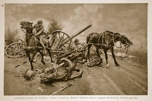 Gallipoli: Pferde gerettet von Munster Fusiliers aus einem von türkischem Geschützfeuer zerschmetterten Wagen, 1914-19